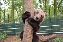Ogród Zoologiczny Poznań