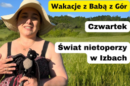 Izby Wydarzenie Rozrywka Wspólne zwiedzanie świata nietoperzy w Izbach