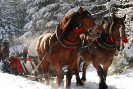 Krynica-Zdrój Wydarzenie Impreza zimowa Kulig z pochodniami malowniczą górską scenerią