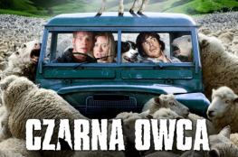 Krynica-Zdrój Wydarzenie Film w kinie CZARNA OWCA