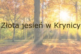 Krynica-Zdrój Nocleg Sanatorium Uzdrowiskowe Leśnik-Drzewiarz