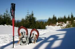 Krynica-Zdrój Atrakcja Wypożyczalnia rakiet śnieżnych Mondo Sport